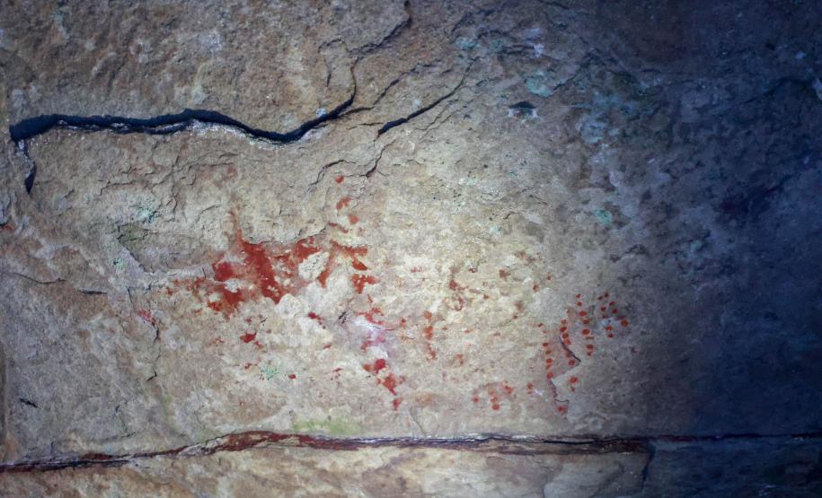Cervos, araucárias e humanos: a pré-história do Paraná está nas paredes de Piraí do Sul