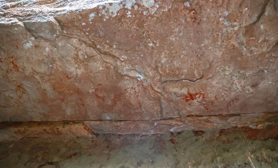 Cervos, araucárias e humanos: a pré-história do Paraná está nas paredes de Piraí do Sul