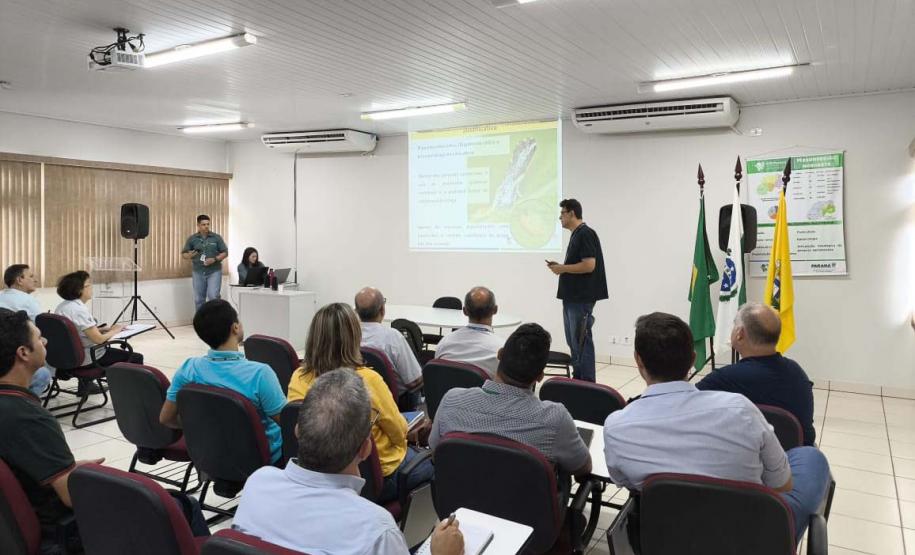 Adapar leva à ExpoLondrina ações sobre combate ao greening e gripe aviária