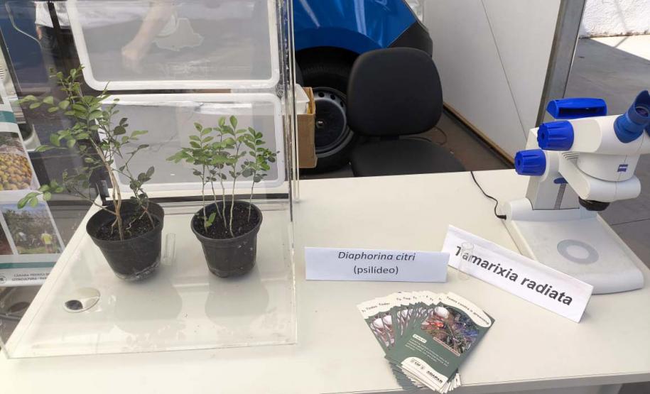 Adapar leva à ExpoLondrina ações sobre combate ao greening e gripe aviária