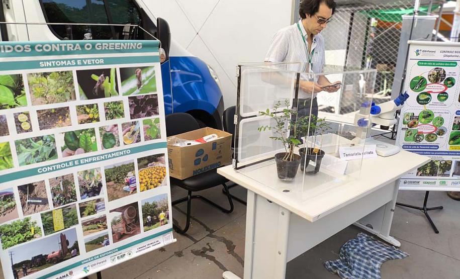 Adapar leva à ExpoLondrina ações sobre combate ao greening e gripe aviária
