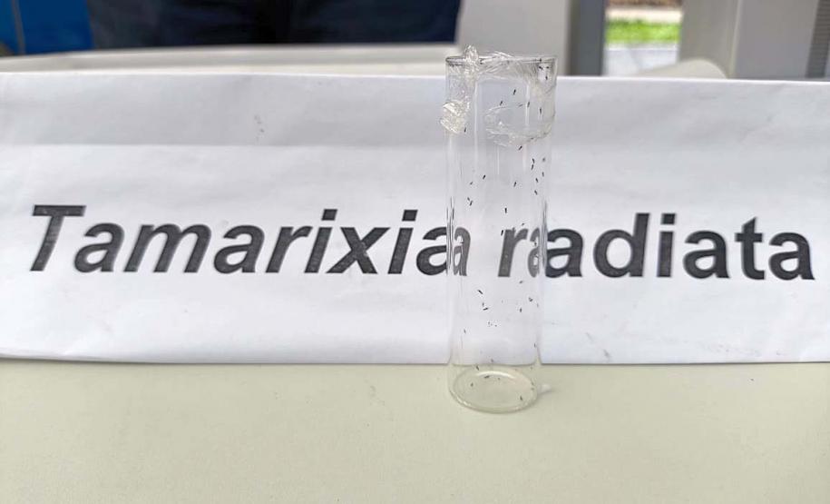 Adapar leva à ExpoLondrina ações sobre combate ao greening e gripe aviária