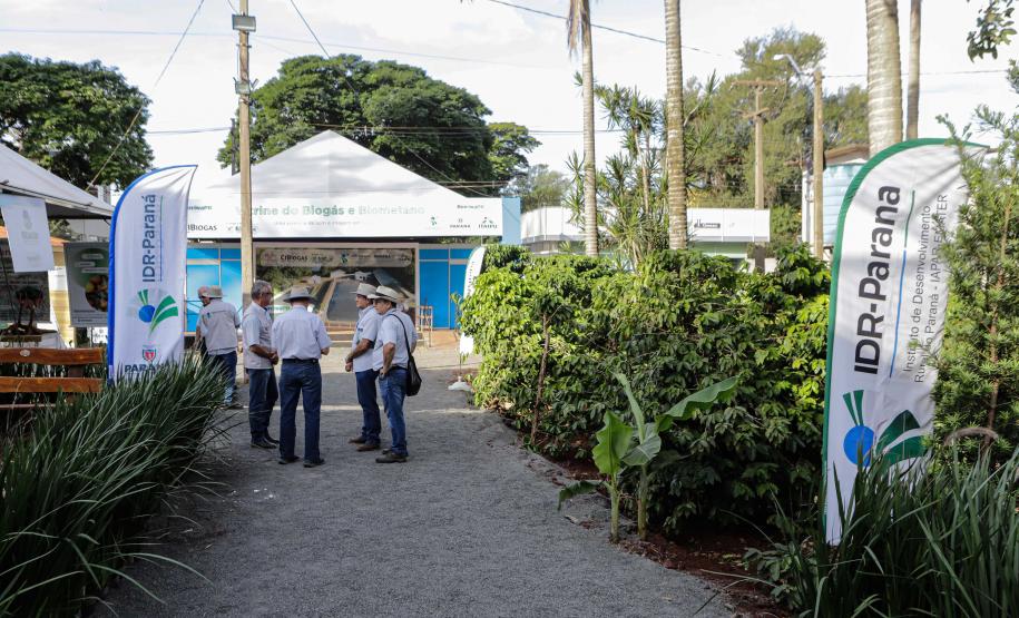 Governador em exercício destaca força do agro paranaense em visita à Expoingá