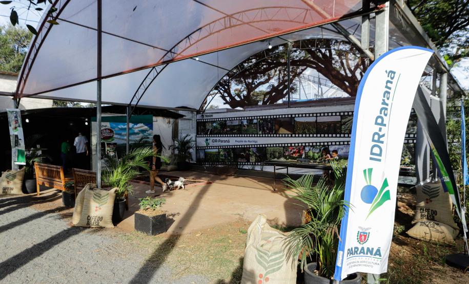 Governador em exercício destaca força do agro paranaense em visita à Expoingá