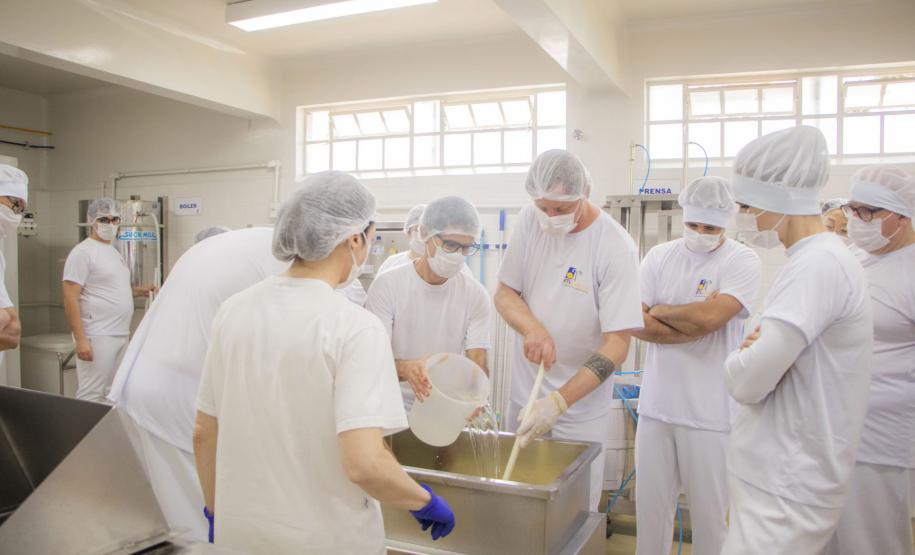 Curso de Fabricação de Queijos da UEPG está com inscrições abertas