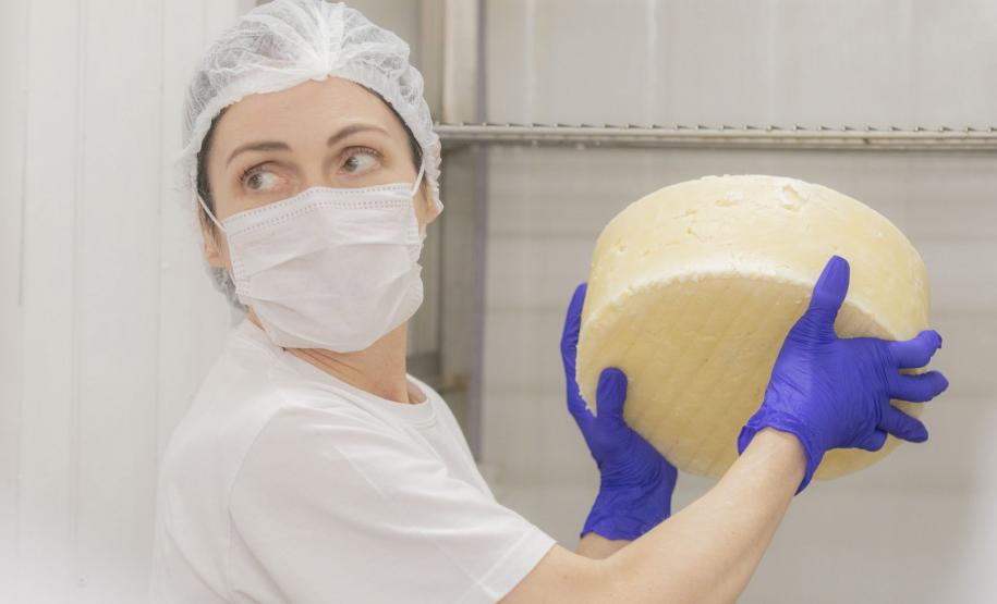 Curso de Fabricação de Queijos da UEPG está com inscrições abertas