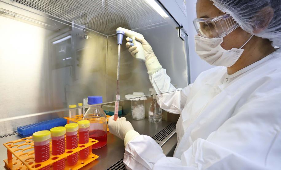 Estados do Sul definem 58 propostas para fortalecimento e popularização da ciência