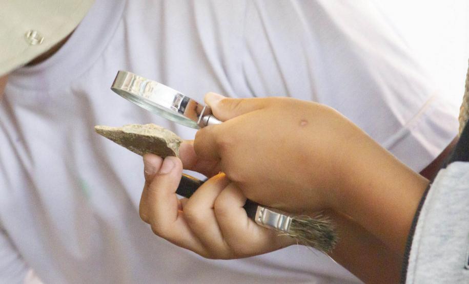 Museus da UEPG participam de Semana Nacional com oficina de serpentes, paleontologia e palestras