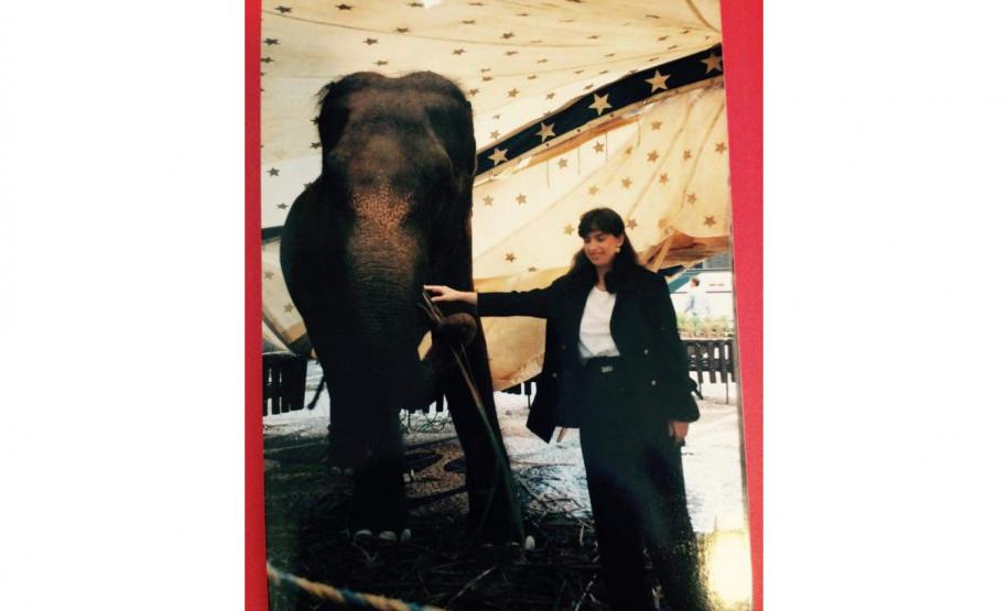 Memórias, amizades e mil concertos marcam os 39 anos da Orquestra Sinfônica do Paraná