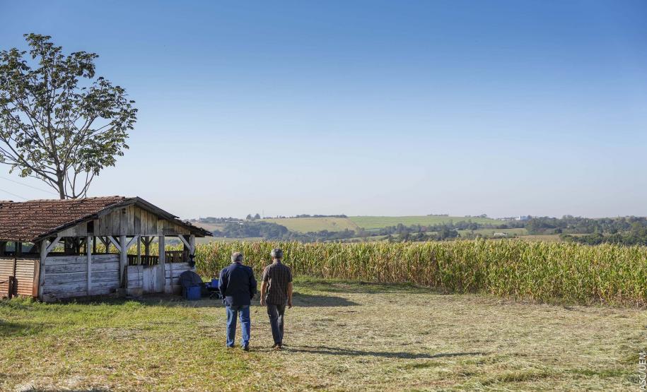 Projeto de extensão da UEM promove cultivo de alimentos para pessoas em recuperação