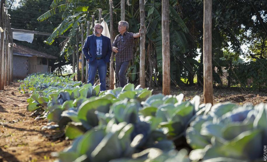Projeto de extensão da UEM promove cultivo de alimentos para pessoas em recuperação