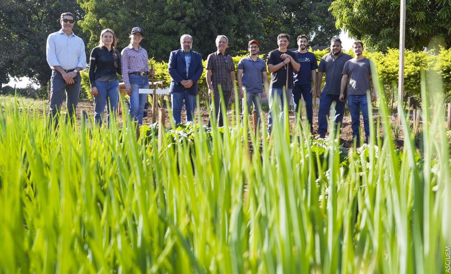 Projeto de extensão da UEM promove cultivo de alimentos para pessoas em recuperação