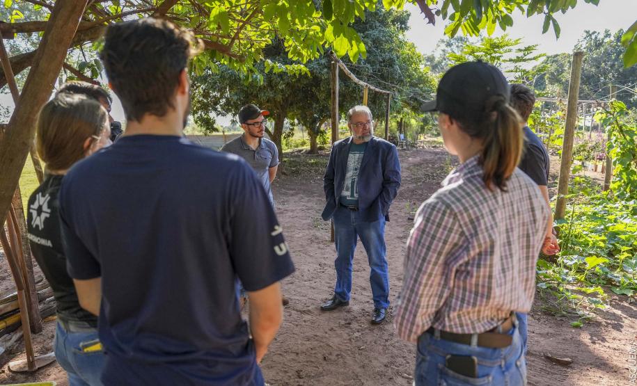 Projeto de extensão da UEM promove cultivo de alimentos para pessoas em recuperação
