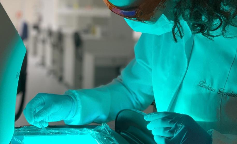 Fundação Araucária avança para reduzir déficit de bolsas de mestrado e doutorado