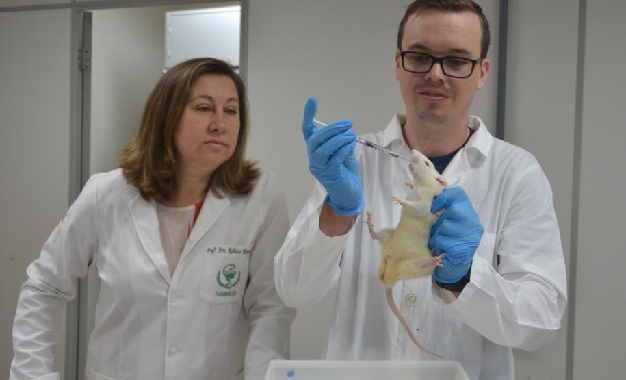 Diabetes: Unicentro desenvolve medicamento oral para substituir injeções