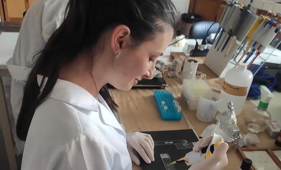 Fundação Araucária avança para reduzir déficit de bolsas de mestrado e doutorado