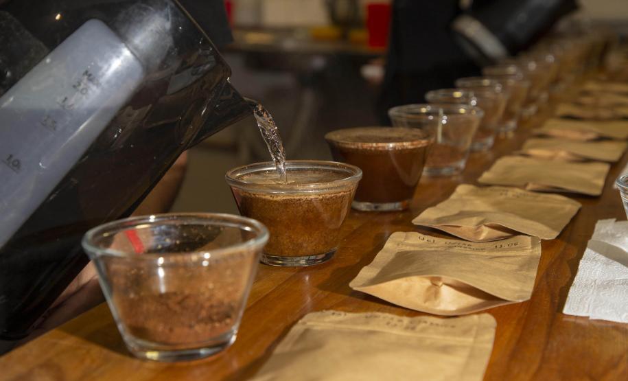 Com apoio do Tecpar, empreendedores vão produzir água para preparo de cafés especiais