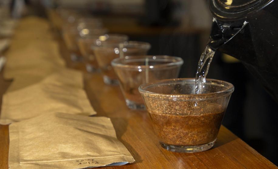 Com apoio do Tecpar, empreendedores vão produzir água para preparo de cafés especiais