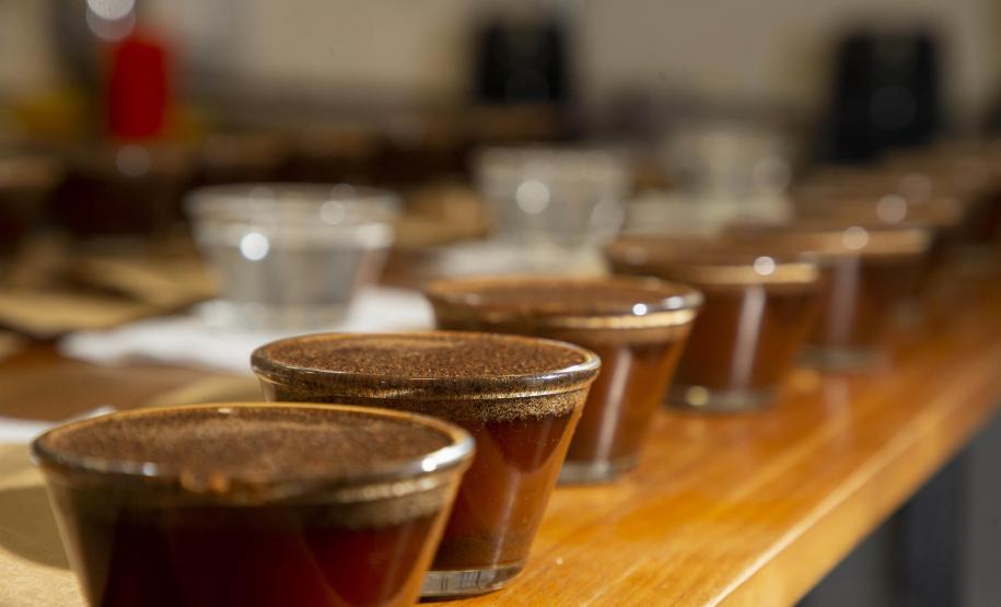 Com apoio do Tecpar, empreendedores vão produzir água para preparo de cafés especiais