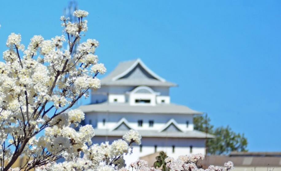 Como Assaí, no interior do Paraná, virou referência global de inovação