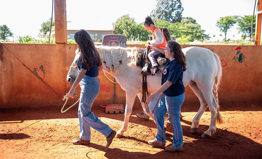 Núcleo da UENP responsável por terapia com cavalos atende 105 pessoas em Bandeirantes