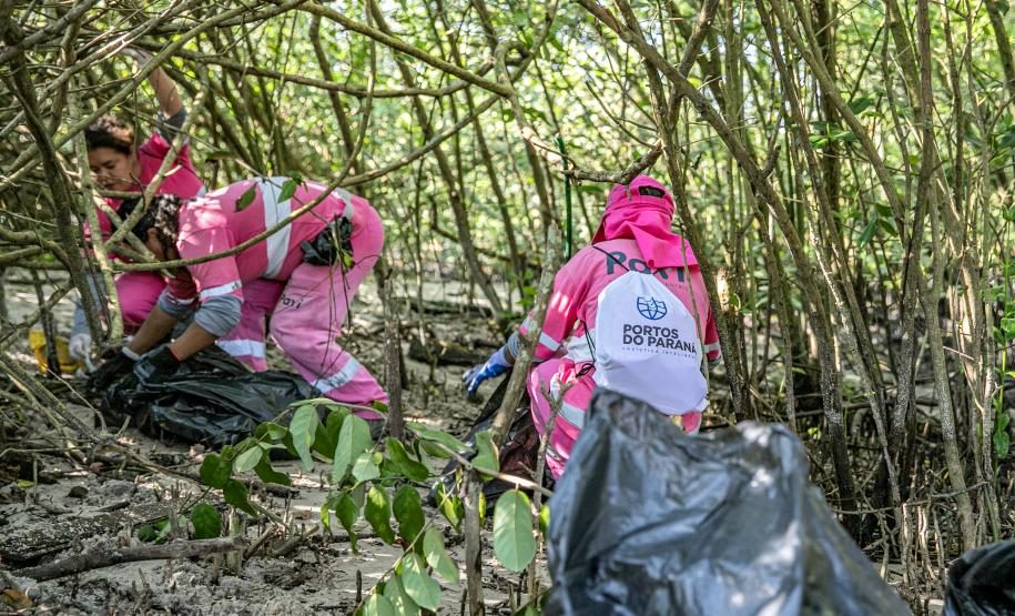 Mutirão de limpeza nos manguezais de Paranaguá recolhe 615 quilos de resíduos