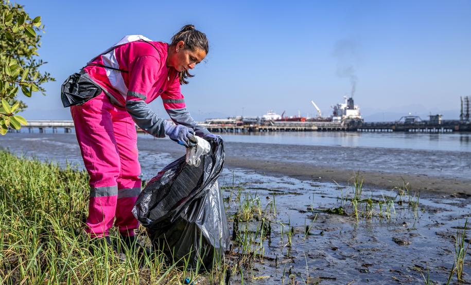 Mutirão de limpeza nos manguezais de Paranaguá recolhe 615 quilos de resíduos