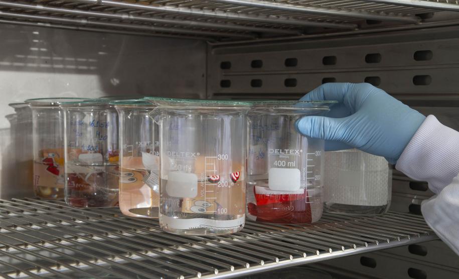 Análise de embalagens de alimentos do Tecpar assegura a saúde do consumidor