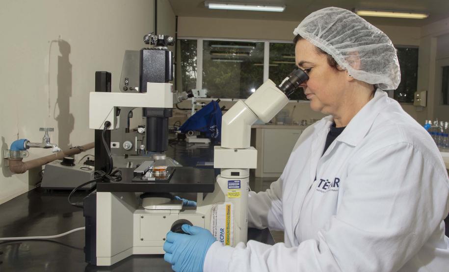 Cresce relevância internacional da revista científica editada pelo Tecpar