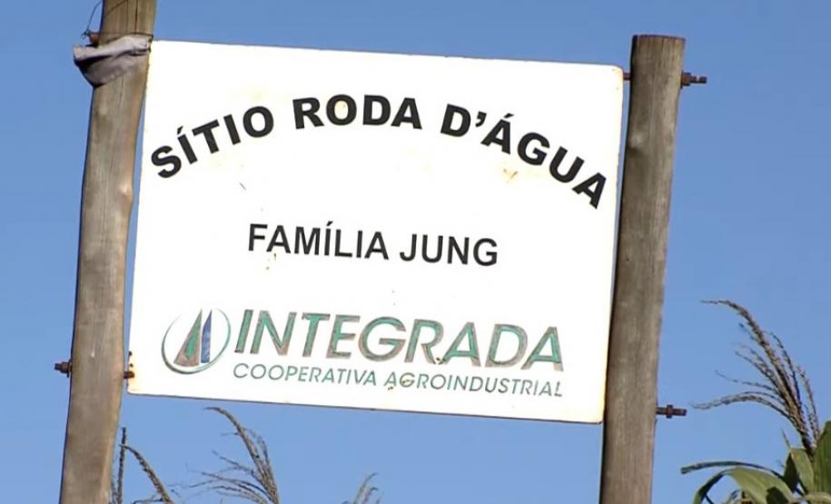 Com apoio do IDR-PR, abelhas produzem mel e aumentam produção de grãos no Noroeste