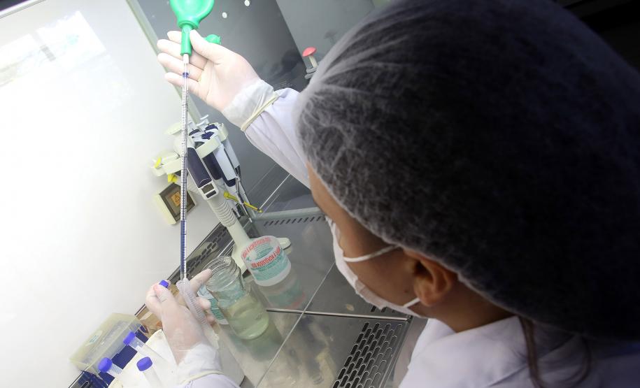 Fundação Araucária e Renault vão investir R$ 1,4 milhão em 114 bolsas de pesquisa