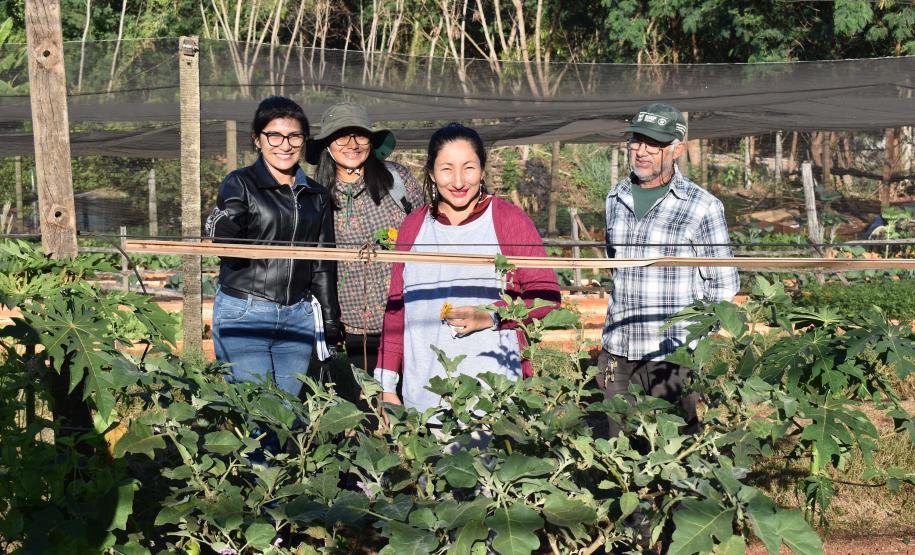 Horta comunitária sob linhas de alta tensão da Copel em Maringá recebe comitiva peruana