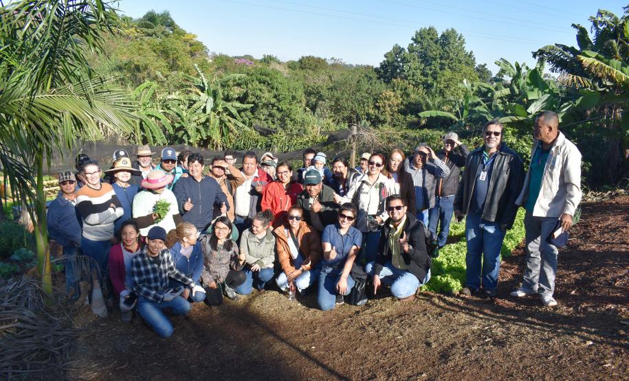 Horta comunitária sob linhas de alta tensão da Copel em Maringá recebe comitiva peruana