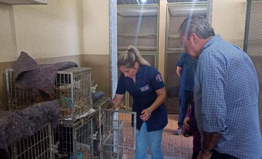 IAT renova convênio com Unifil para atendimento à fauna na região de Londrina