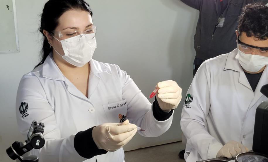 Produto desenvolvido na UEL determina o tipo sanguíneo em menos de dois minutos