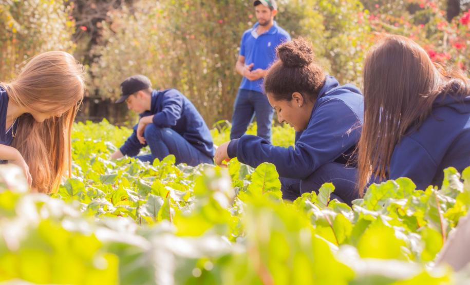 Colégio Agrícola da UEPG abre processo seletivo para ingresso em 2025