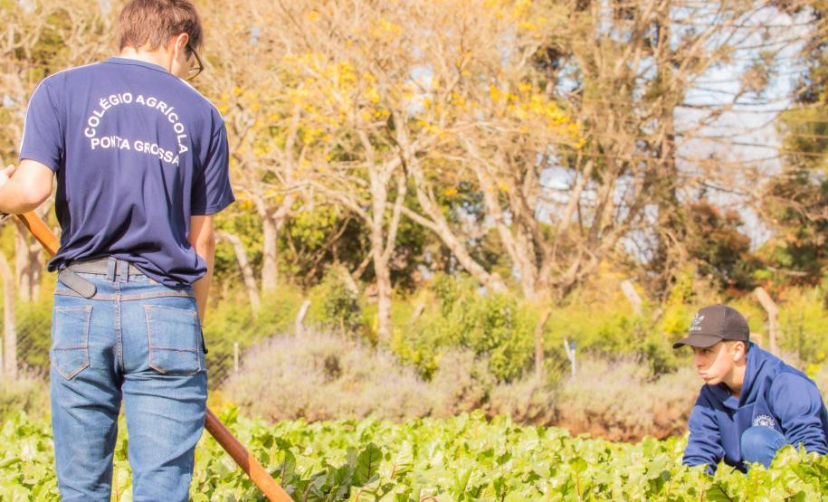 Colégio Agrícola da UEPG abre processo seletivo para ingresso em 2025
