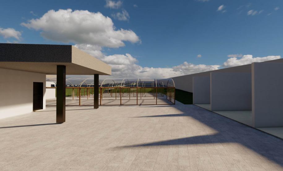 IDR-Paraná terá em Londrina horto de plantas medicinais, aromáticas e condimentares