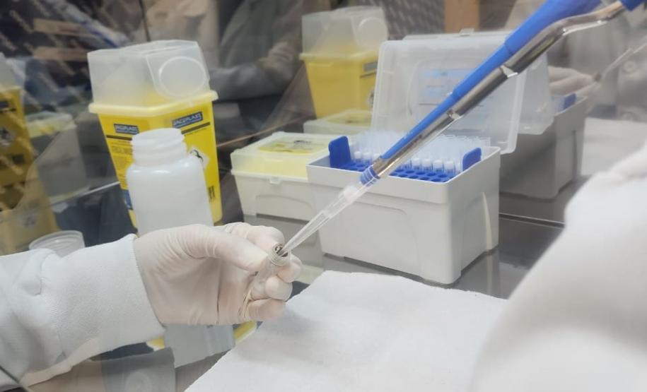 Paraná integra rede de pesquisa para identificar maior risco de desenvolver doenças