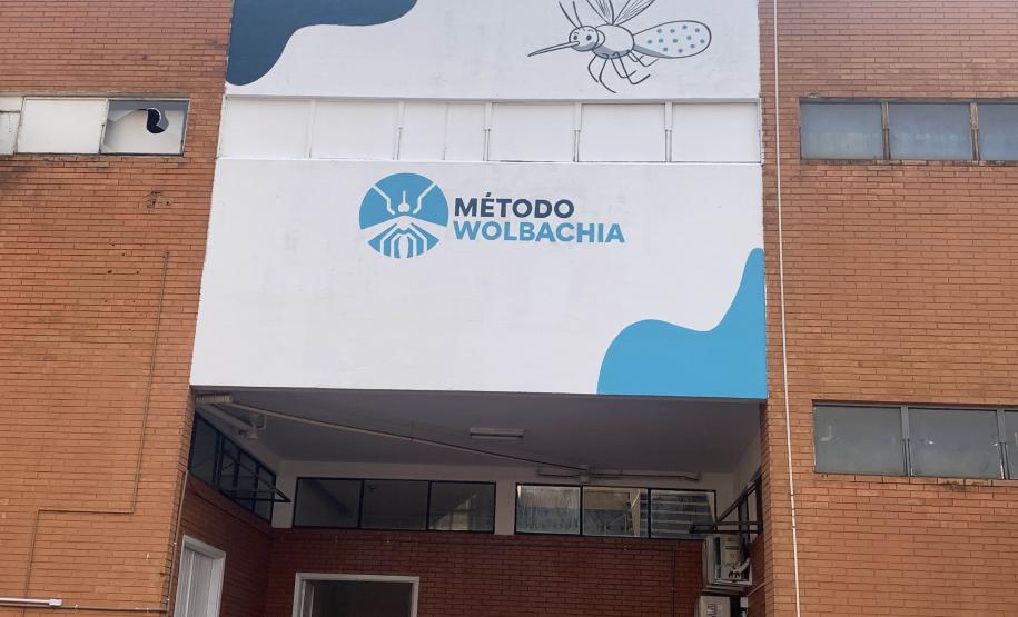 58 milhões de wolbitos devem ajudar Londrina no combate à dengue e arboviroses