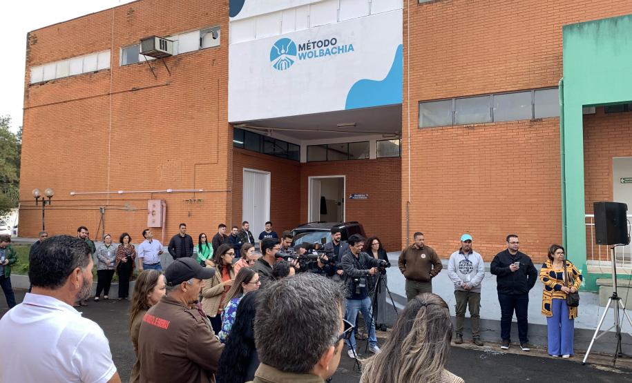 58 milhões de wolbitos devem ajudar Londrina no combate à dengue e arboviroses