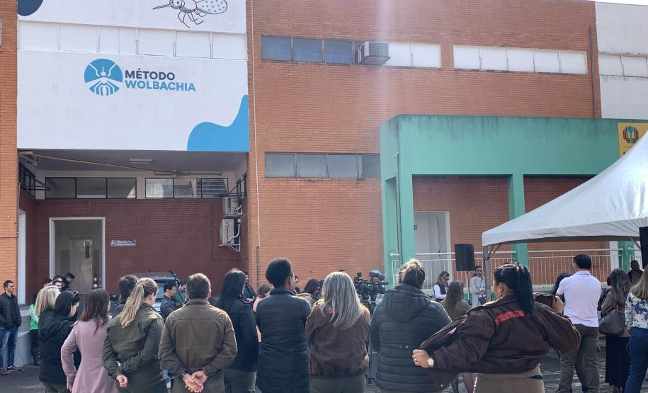 58 milhões de wolbitos devem ajudar Londrina no combate à dengue e arboviroses