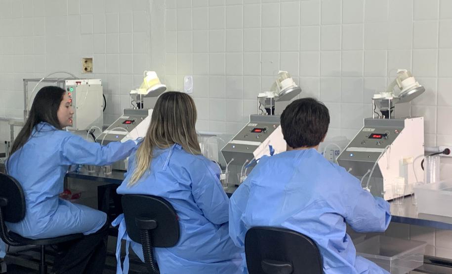 58 milhões de wolbitos devem ajudar Londrina no combate à dengue e arboviroses