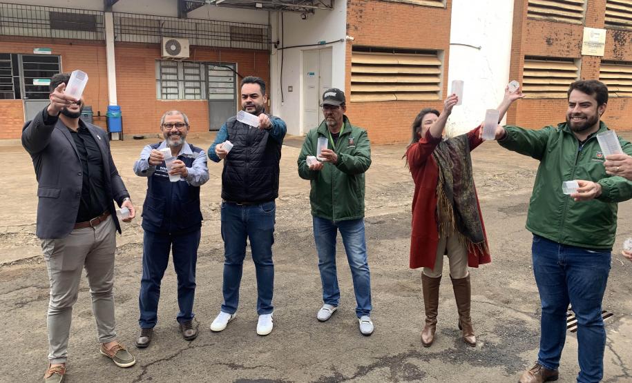 58 milhões de wolbitos devem ajudar Londrina no combate à dengue e arboviroses