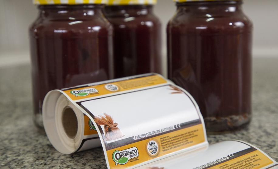 Tecpar orienta produção de industrializados orgânicos e convencionais no mesmo local