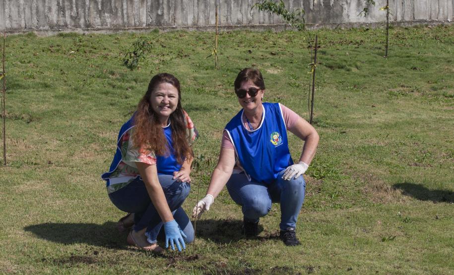 Com diversas ações, programa de voluntariado do Tecpar já impactou 20 mil pessoas