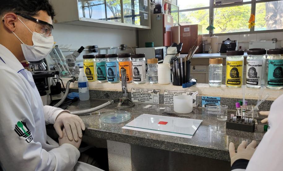 Produto desenvolvido na UEL determina o tipo sanguíneo em menos de dois minutos