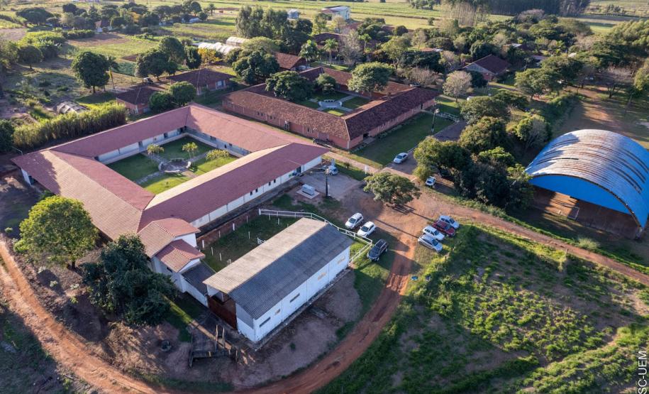 Localizado em Umuarama, HVU projeta expansão na infraestrutura e no atendimento a animais de pequeno e grande porte