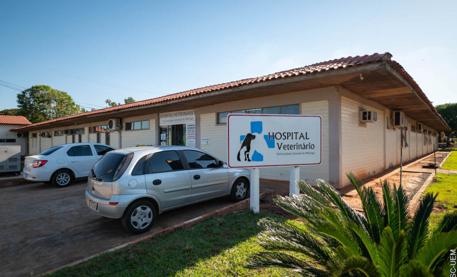 Localizado em Umuarama, HVU projeta expansão na infraestrutura e no atendimento a animais de pequeno e grande porte