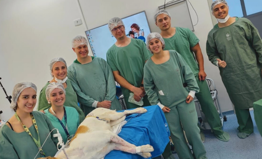 Das universidades ao mercado: novos produtos nascem de pesquisas apoiadas pelo Estado